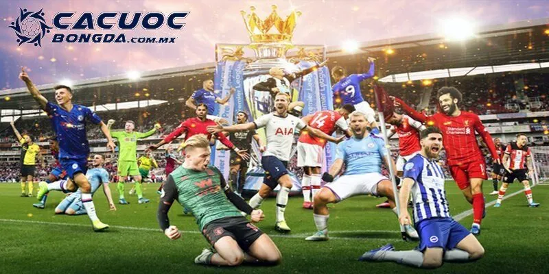 Các đội bóng có khả năng trở thành ứng cử viên