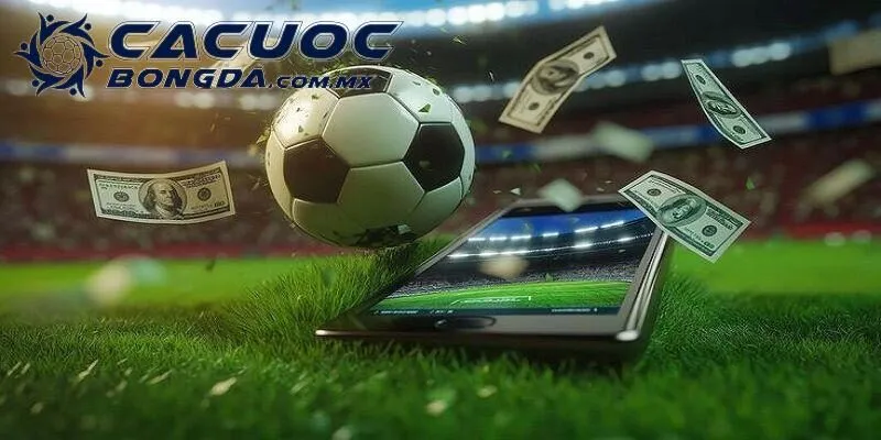 Lưu ý cần biết khi tham gia cá cược bóng đá Sin88 