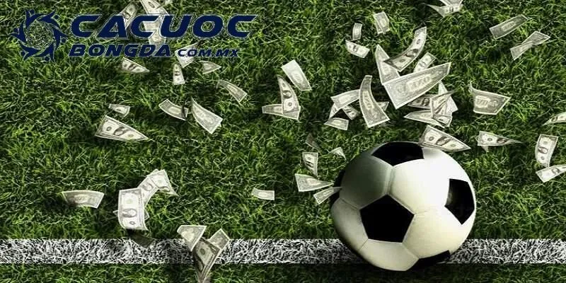 Cá Cược Bóng Đá Sin88 – Đánh Giá Nền Tảng Uy Tín Năm 2025