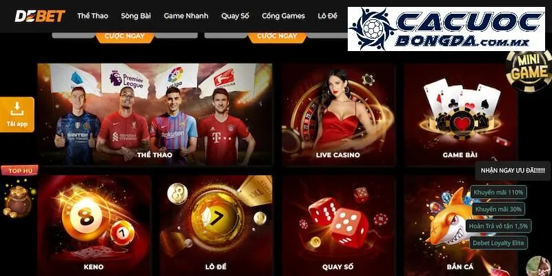 Debet – Những Thông Tin Bạn Nên Biết Về Nền Tảng Cá Cược Này