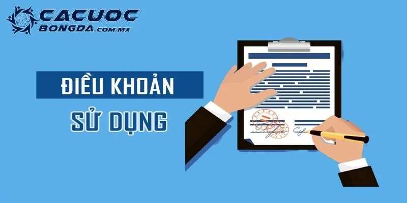 Điều khoản sử dụng với mục đích quan trọng