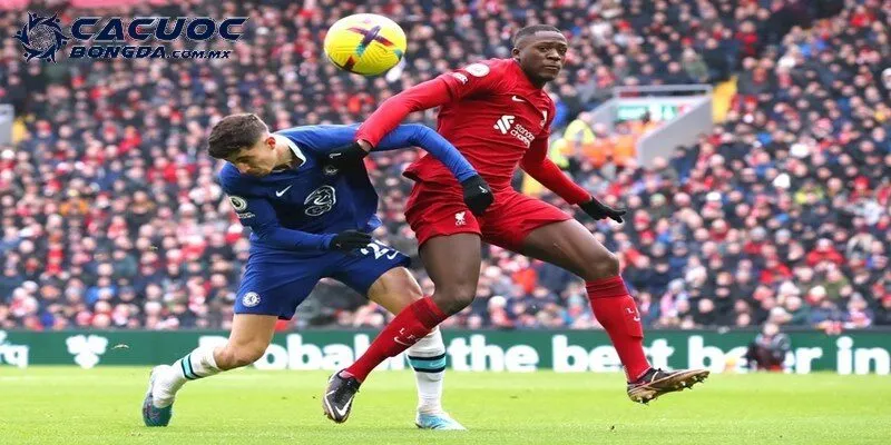 Dự đoán Ngoại hạng Anh 2025 – Khi Liverpool trở lại ngai vàng