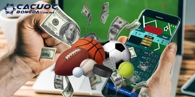 Thông tin cơ bản cần biết về chuyên trang cá cược thể thao