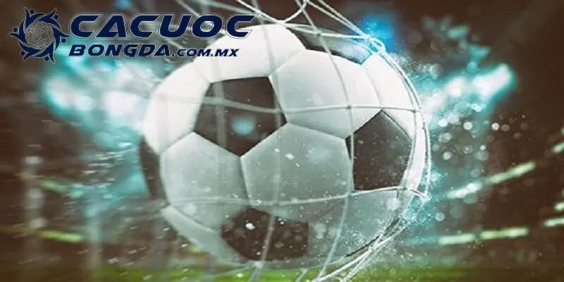 Một số sai lầm cần hạn chế để không ảnh hưởng nguồn thu