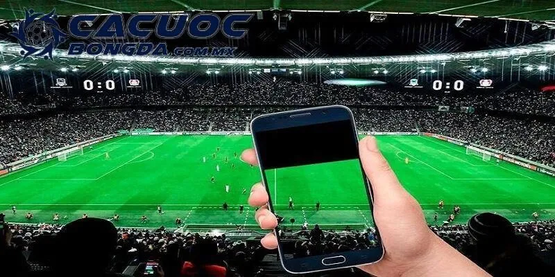 Kèo Chấp 0.25 – Cách Đọc Và Một Vài Lưu Ý Quan Trọng