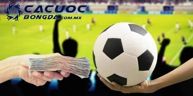 Kèo Chấp 0.75: Giải Mã Tỷ Lệ Và Bí Quyết Bắt Độ Chuẩn Xác