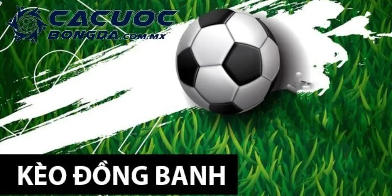 Kèo Đồng Banh: Giải Mã Toàn Diện Và Kinh Nghiệm Hiệu Quả
