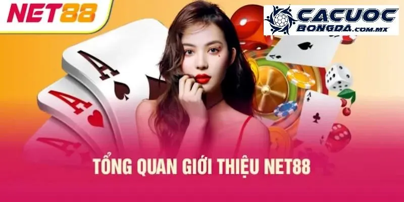 Net88 – Thông Tin Về Thiên Đường Cá Cược Hàng Đầu Việt Nam