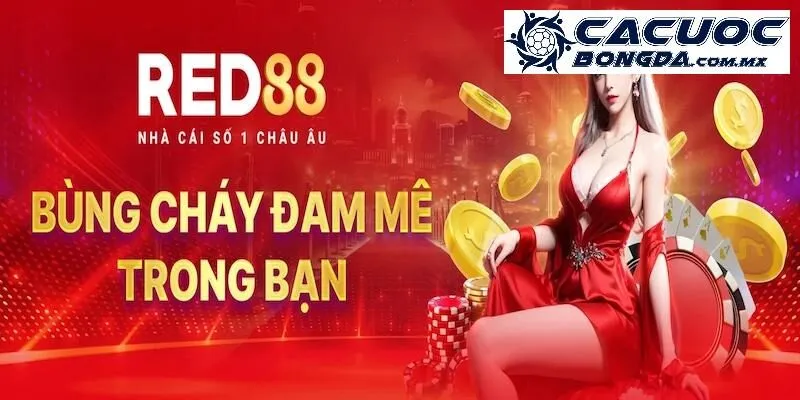 Tổng quan về đơn vị cá cược - Red88