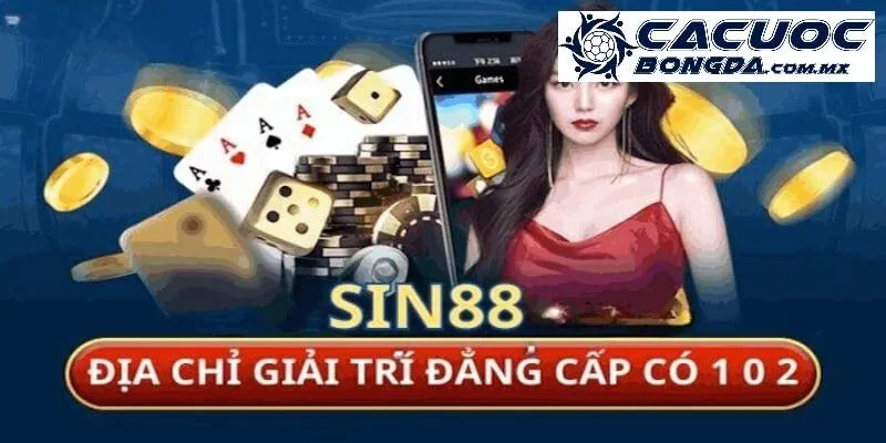 Sin88 – Thông Tin Uy Tín Và Chính Xác Về Đơn Vị Cá Cược Này