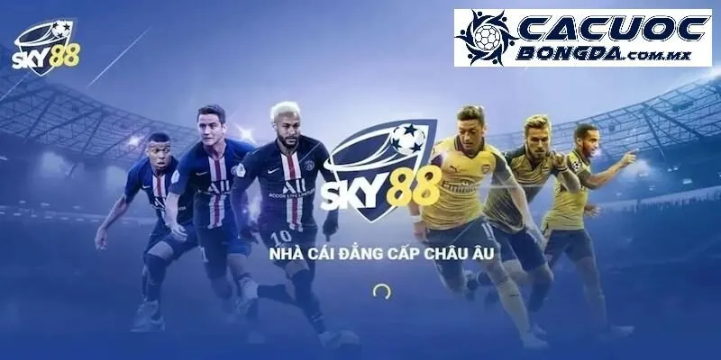 Tổng quan về đơn vị cá cược Sky88