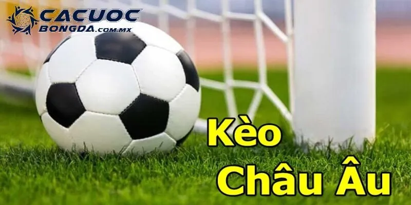 Soi Kèo Châu Âu – Giới Thiệu Luật, Ưu Điểm Và Chiến Thuật
