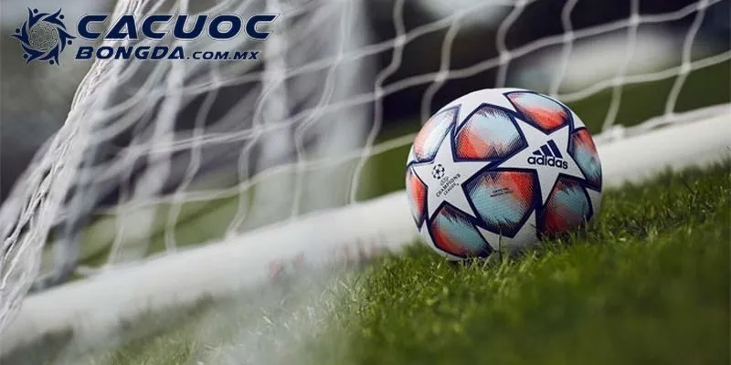 Trang cá cược bóng đá 8live có gì đặc biệt?