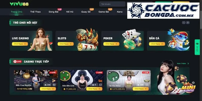 Liệu nhà cái Vivu88 có uy tín không?