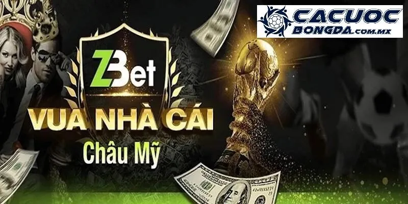 Tìm hiểu về nhà cái cá cược uy tín Zbet