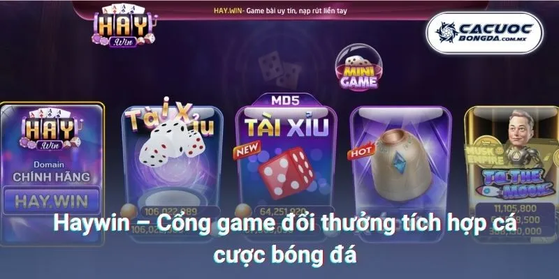 Haywin – Cổng game đổi thưởng tích hợp cá cược bóng đá