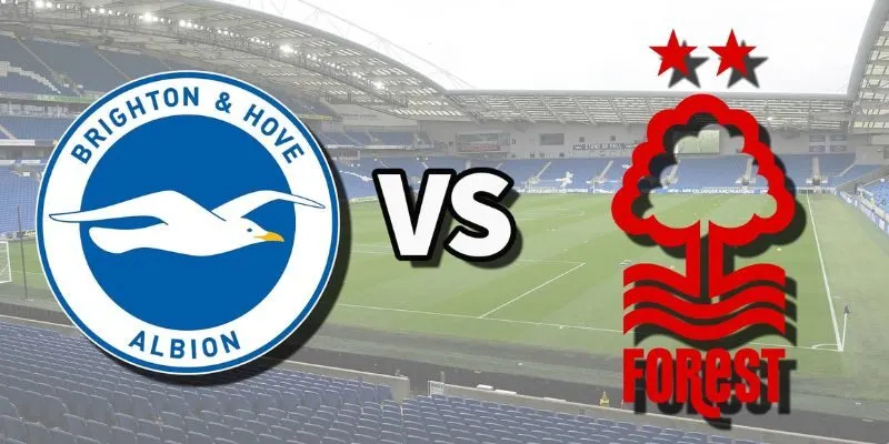Soi Kèo Chuyên Sâu Nottingham Forest Vs Brighton & Hove Albion Lúc 21h05 Ngày 30/11 – Giải Ngoại Hạng Anh