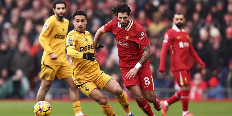 Đánh giá phong độ gần đây của Liverpool vs Wolverhampton Wanderers