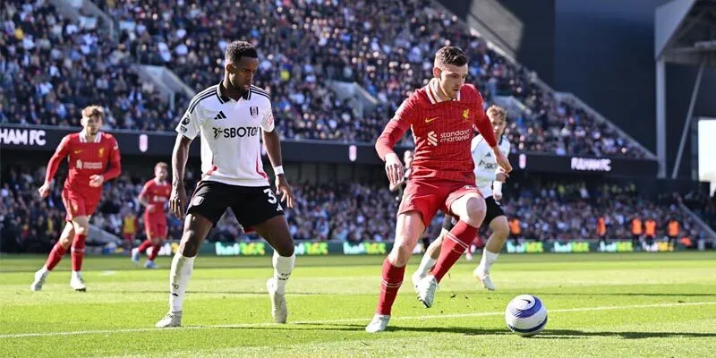 Đánh giá phong độ gần đây rực lửa của Fulham vs Liverpool